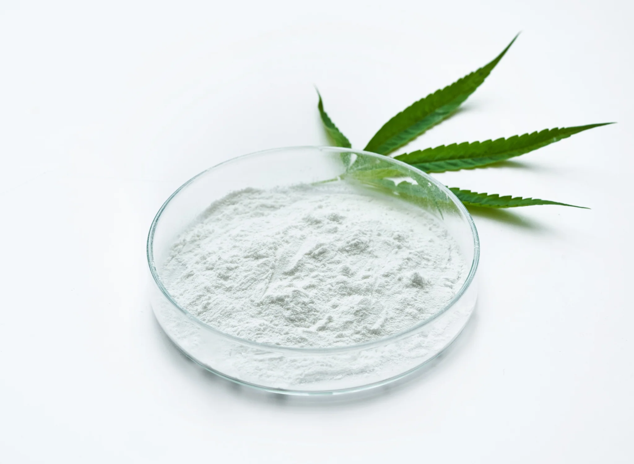 Unveiling the Mysteries of THC White Powder: Exploring Its Origins ...