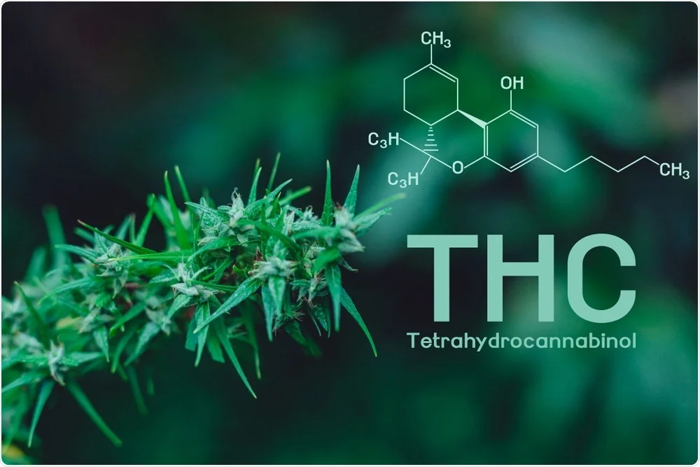 Unlocking Potency: A Deep Dive into the THC Solubility Chart for ...